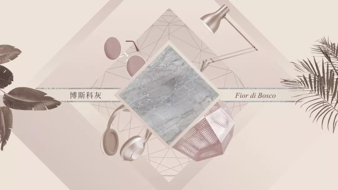 德信控股集团有限公司