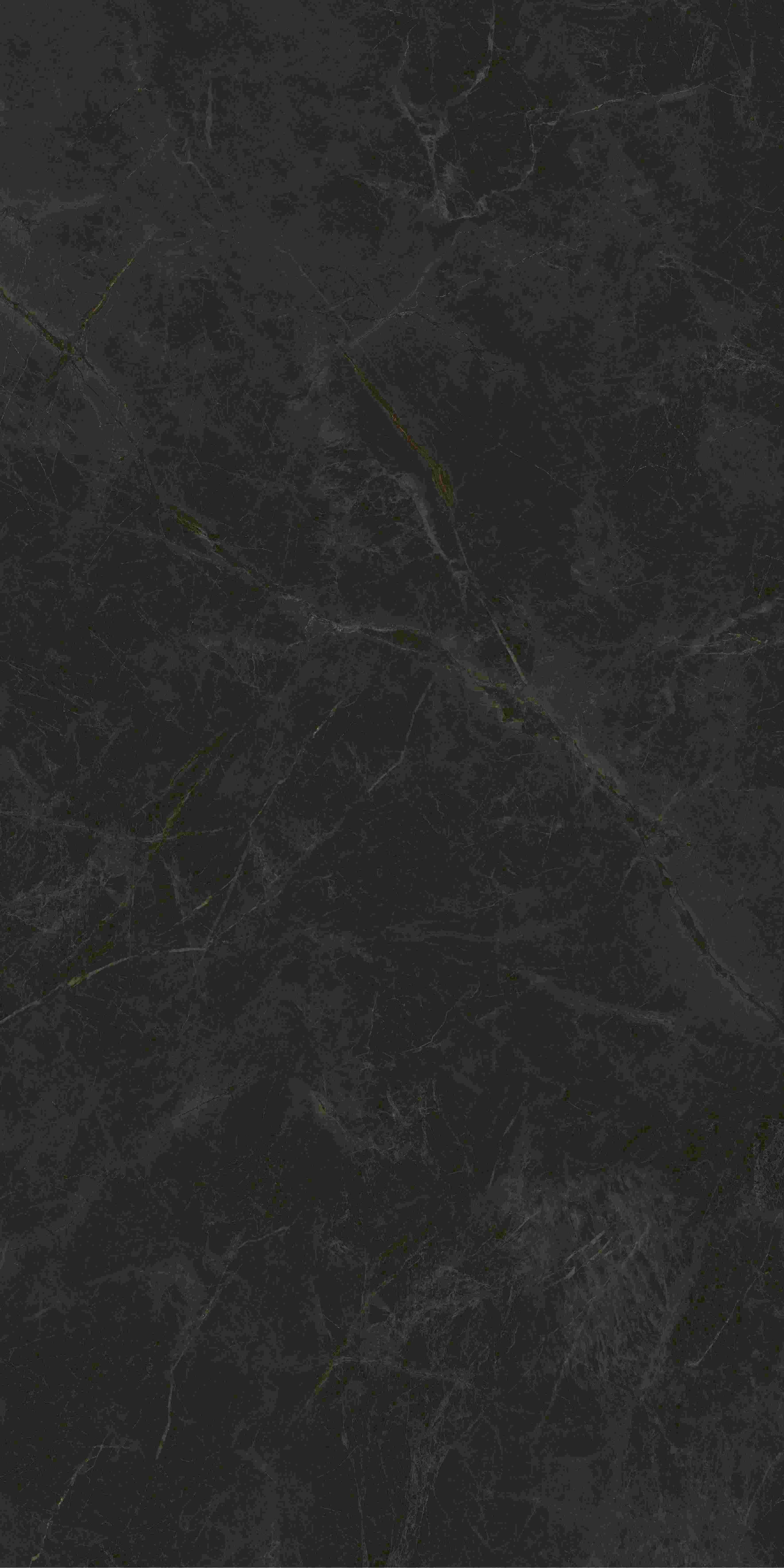 202503311056125612