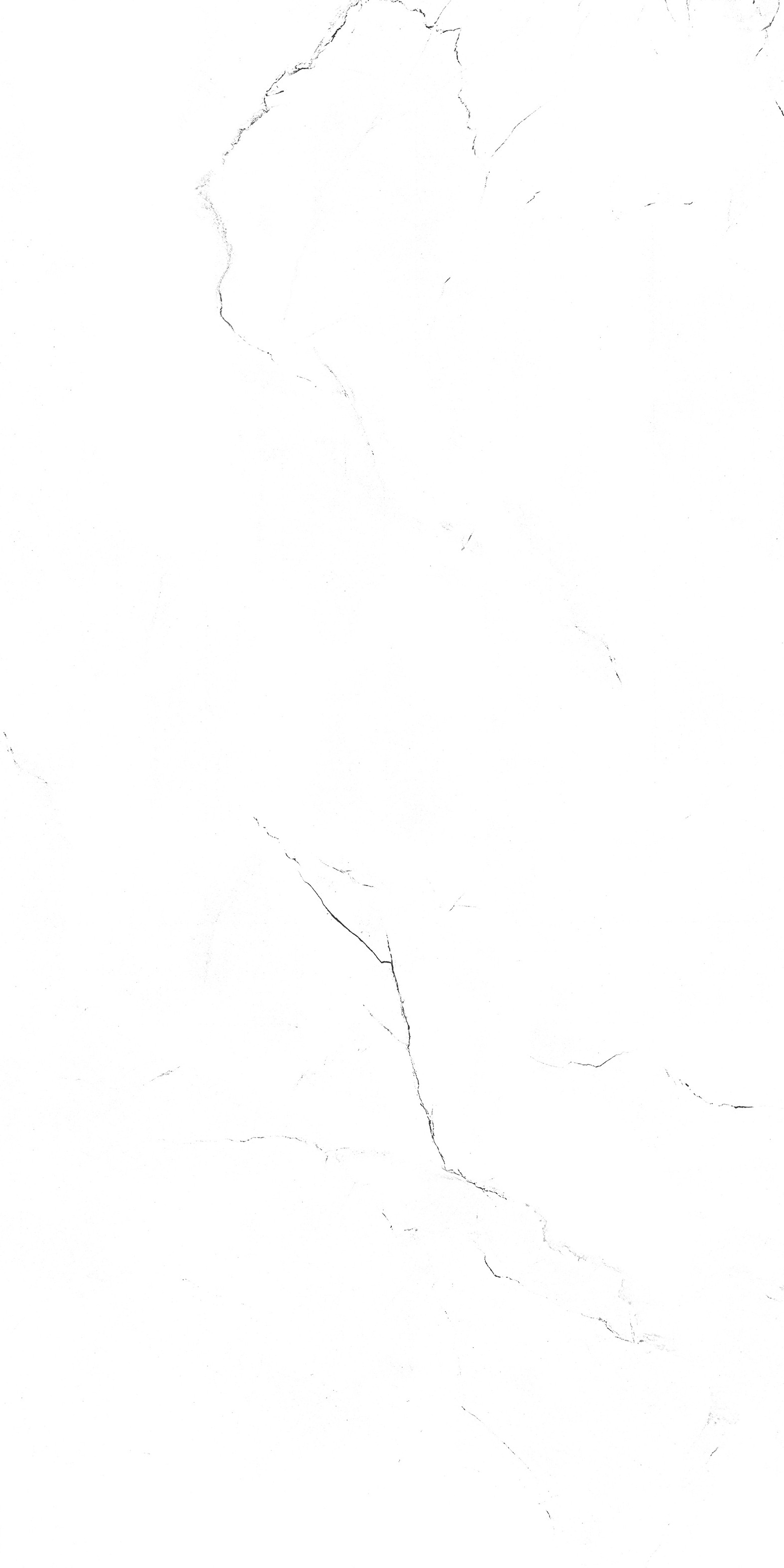 202503311913361336