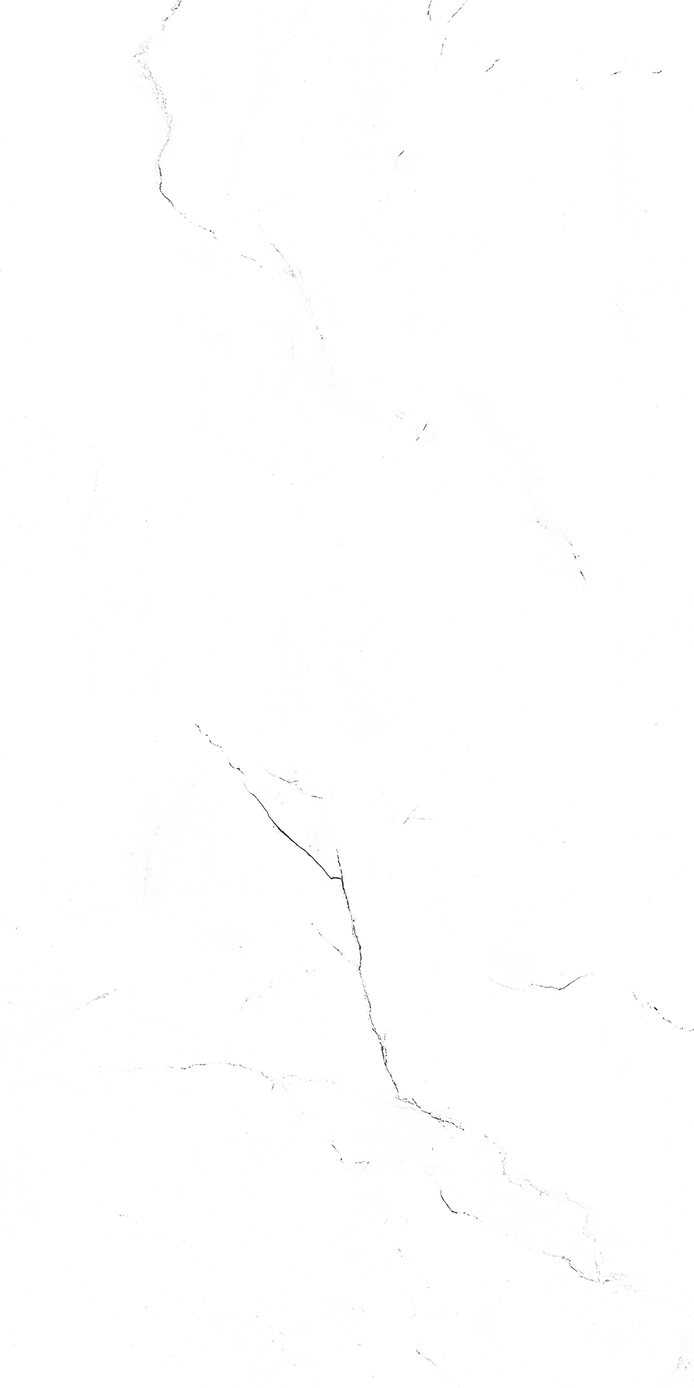 202503311921492149 202503311921492149