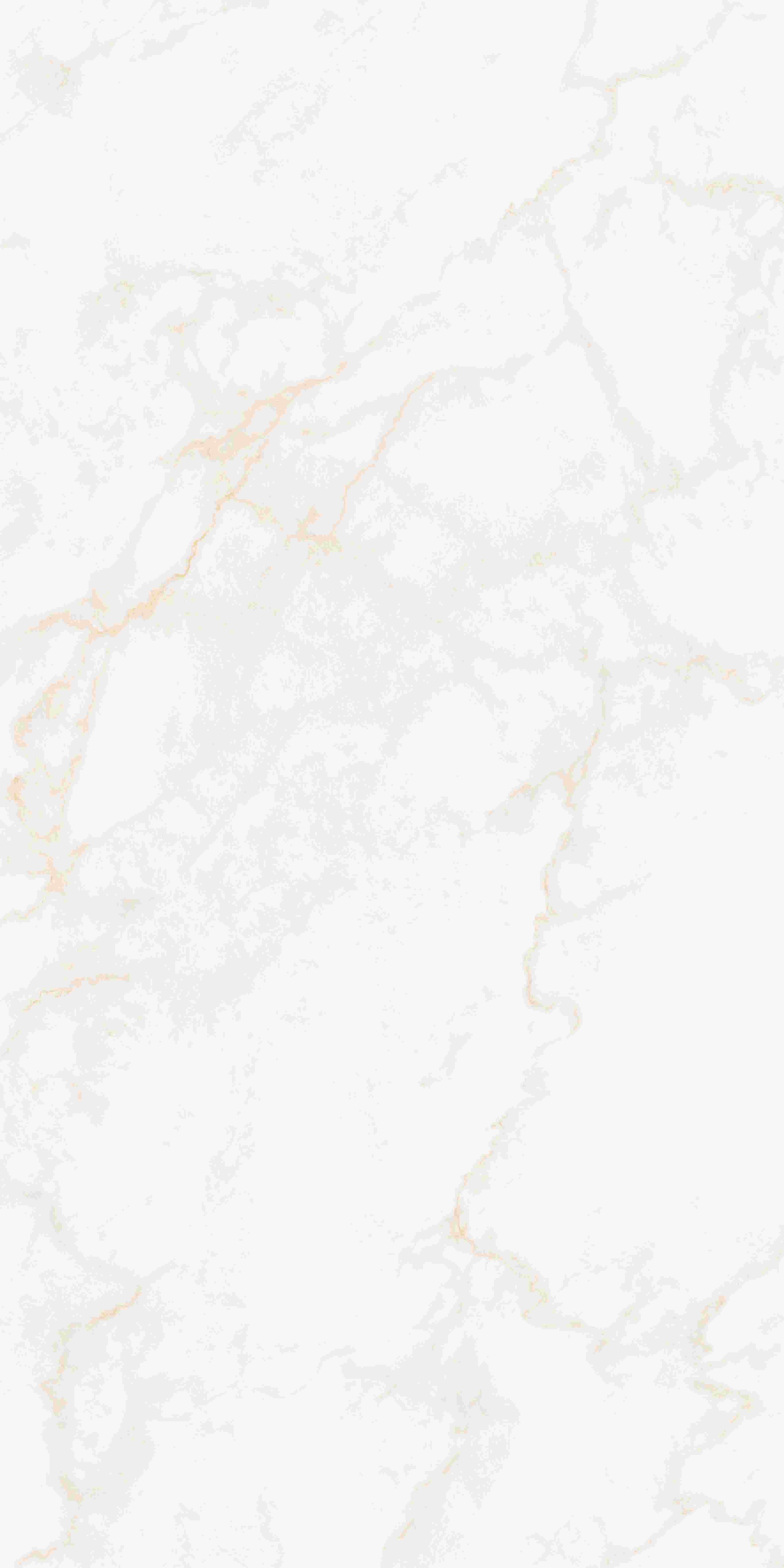 20250331194809489 20250331194809489