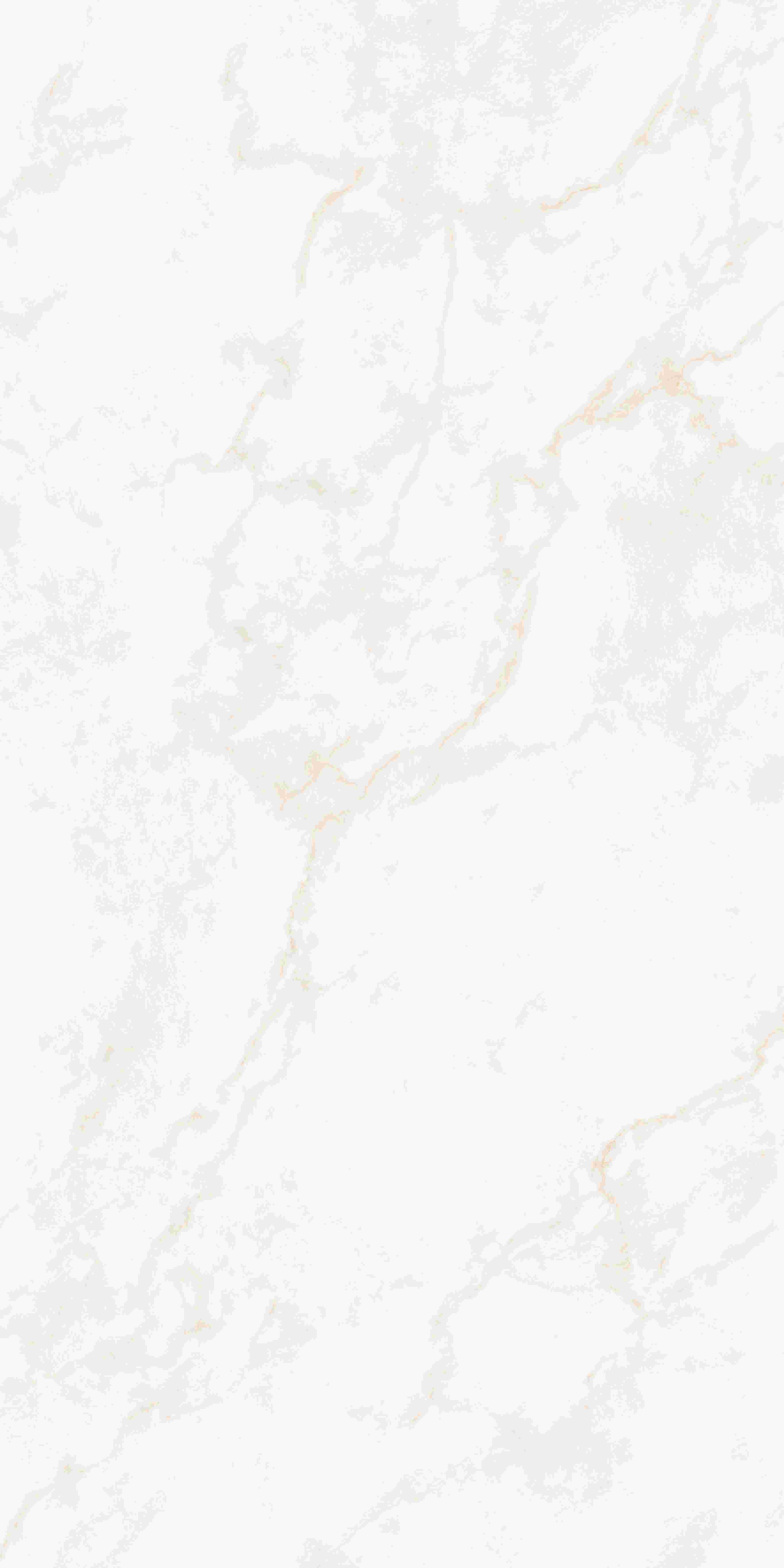 202503311948104810 202503311948104810