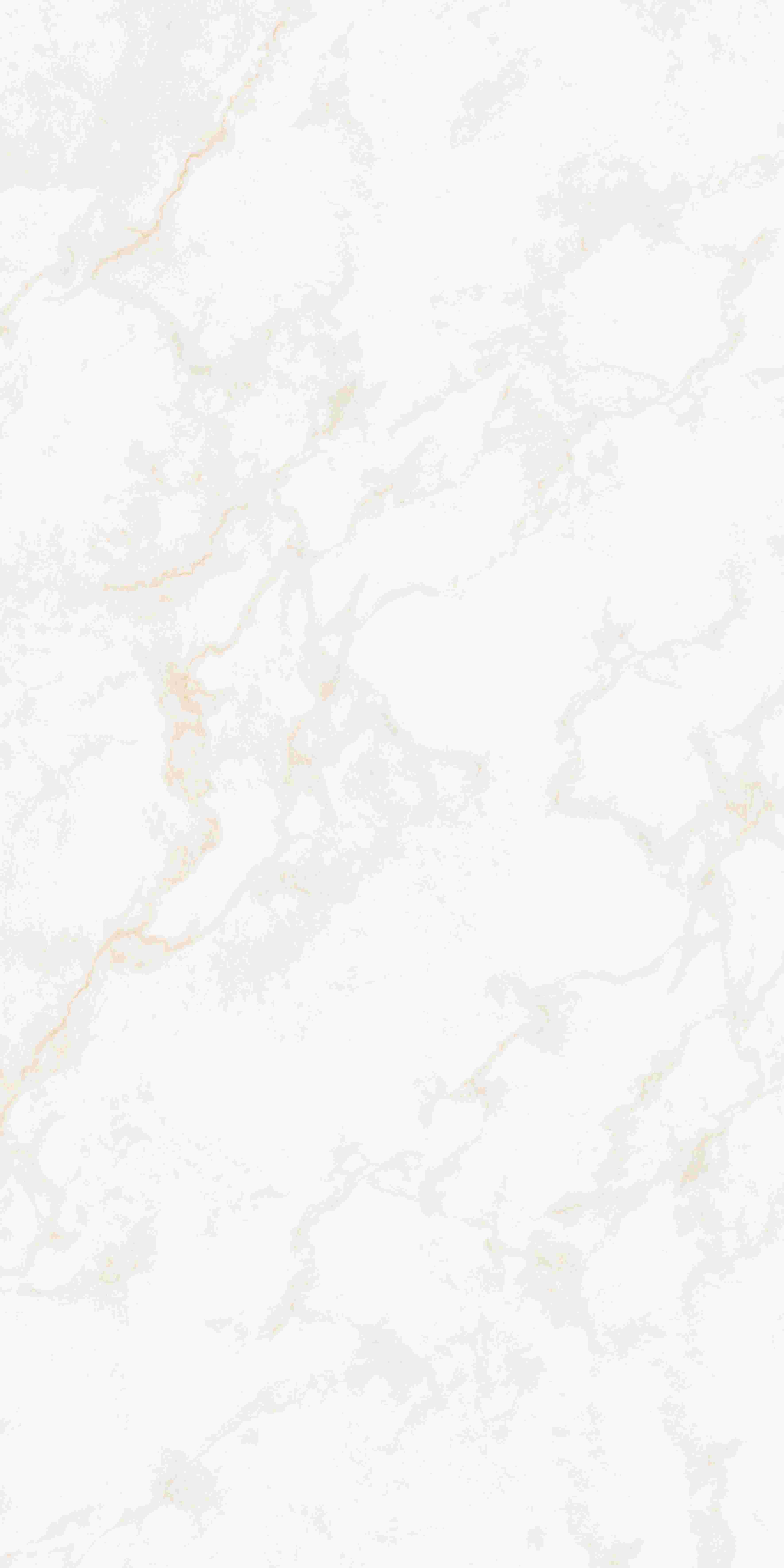 202503311948174817 202503311948174817