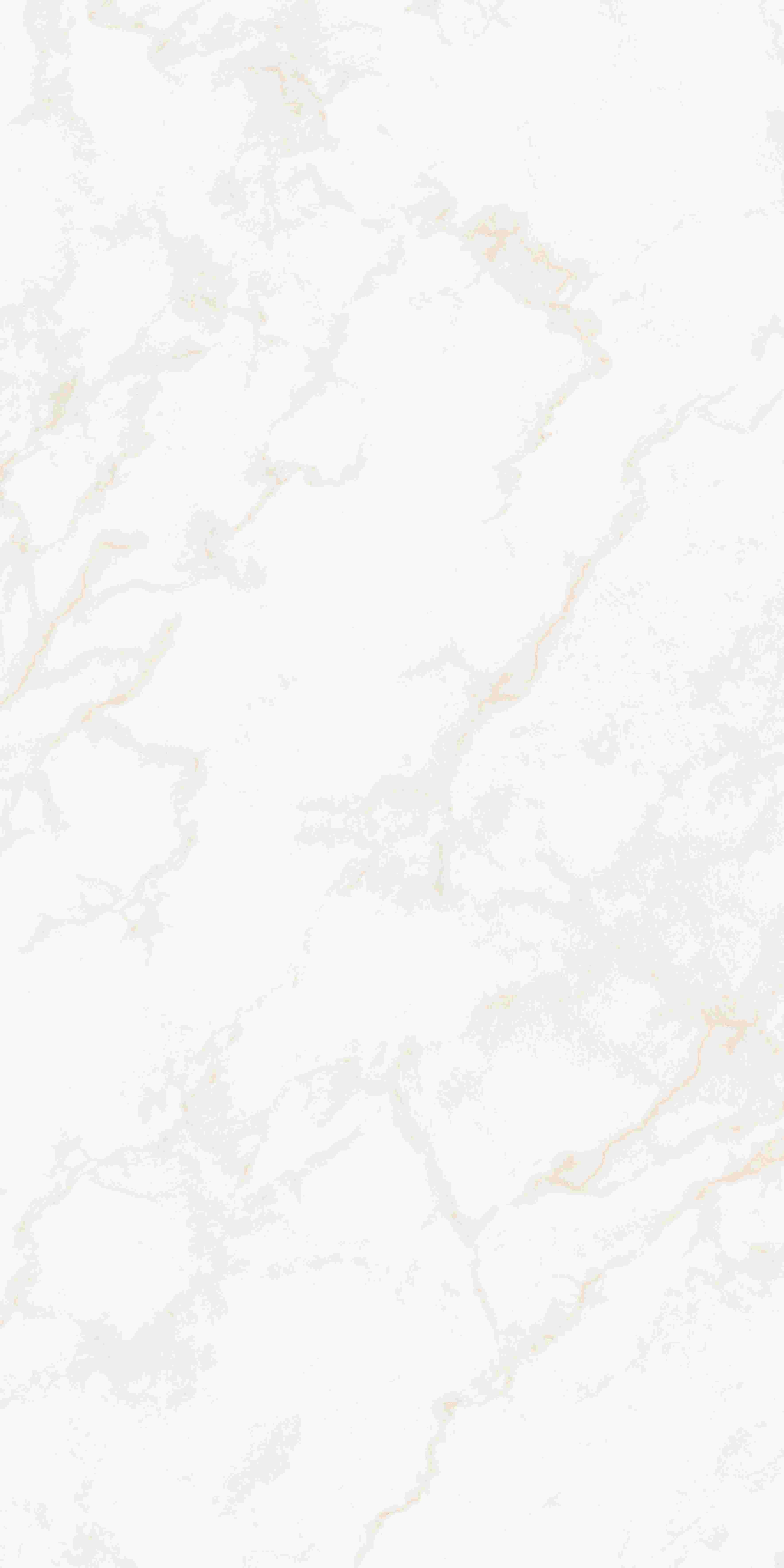 202503311948194819 202503311948194819