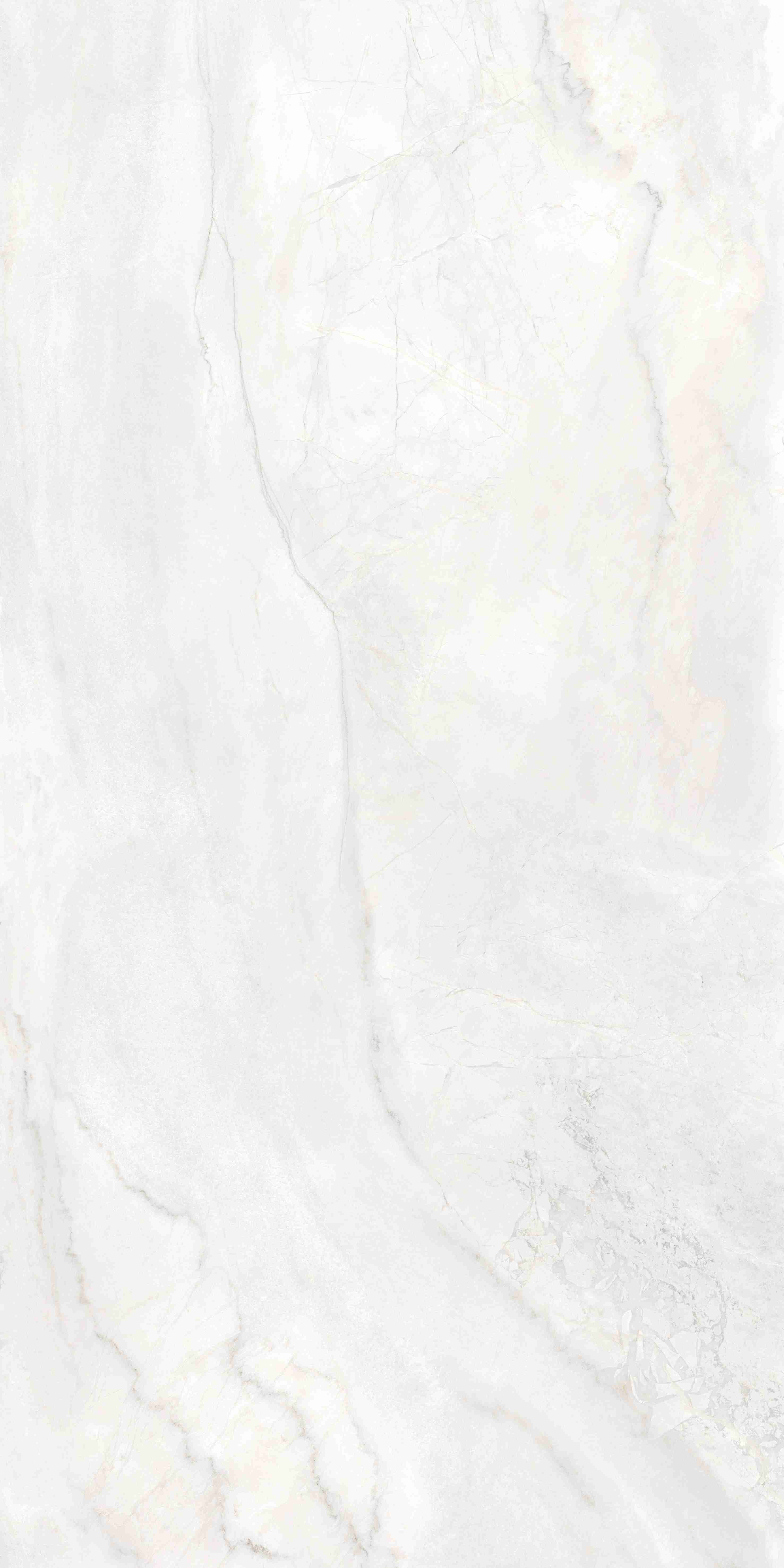 202504010912171217 202504010912171217