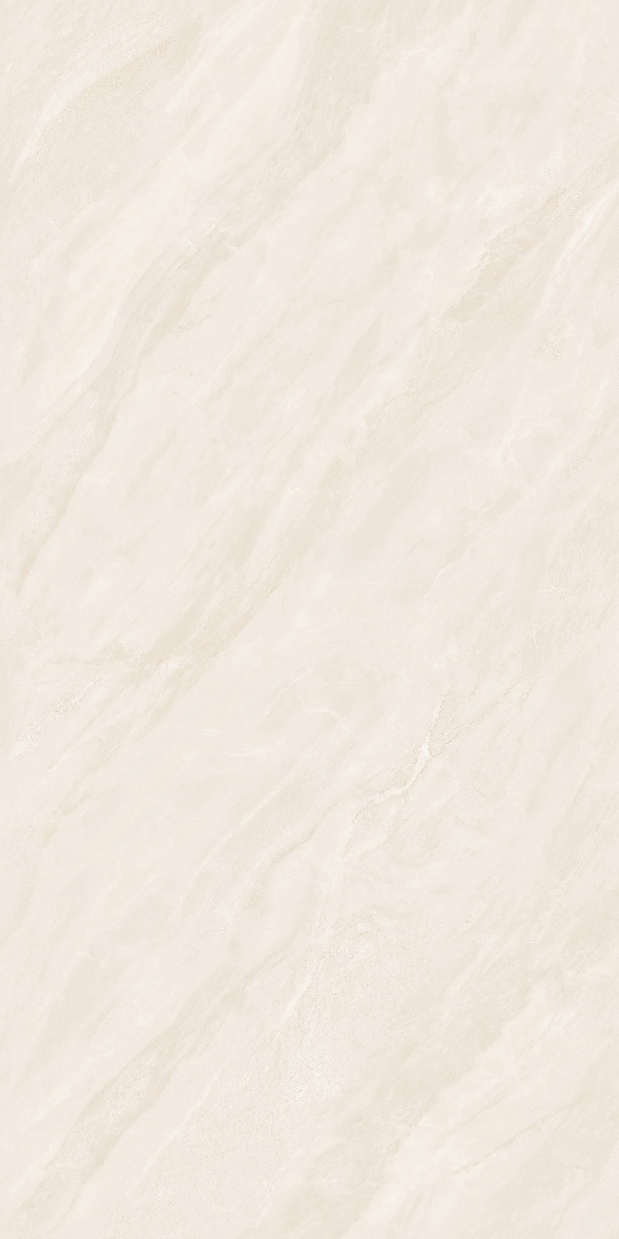 202504011856205620