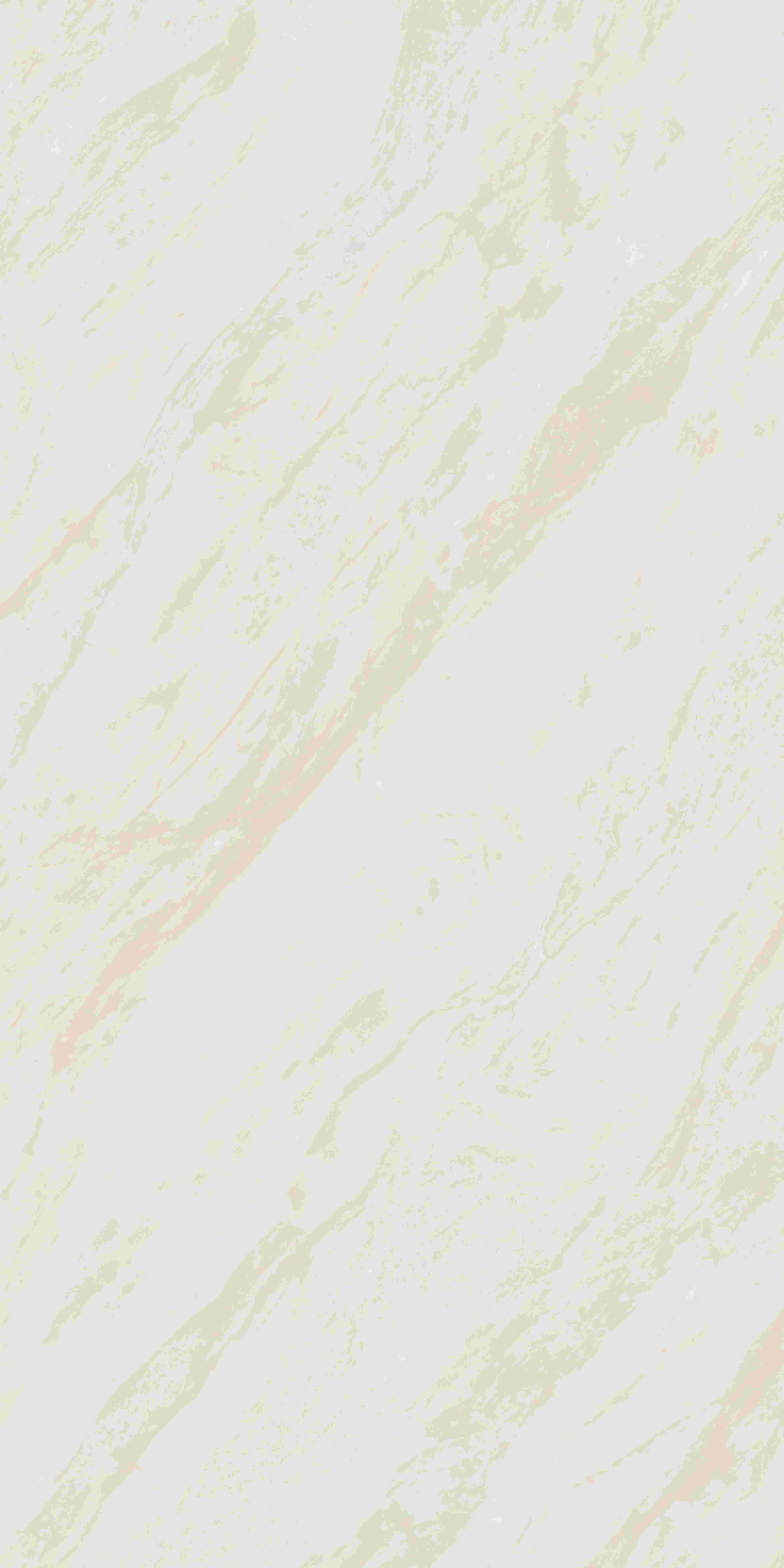 202504011858125812 202504011858125812
