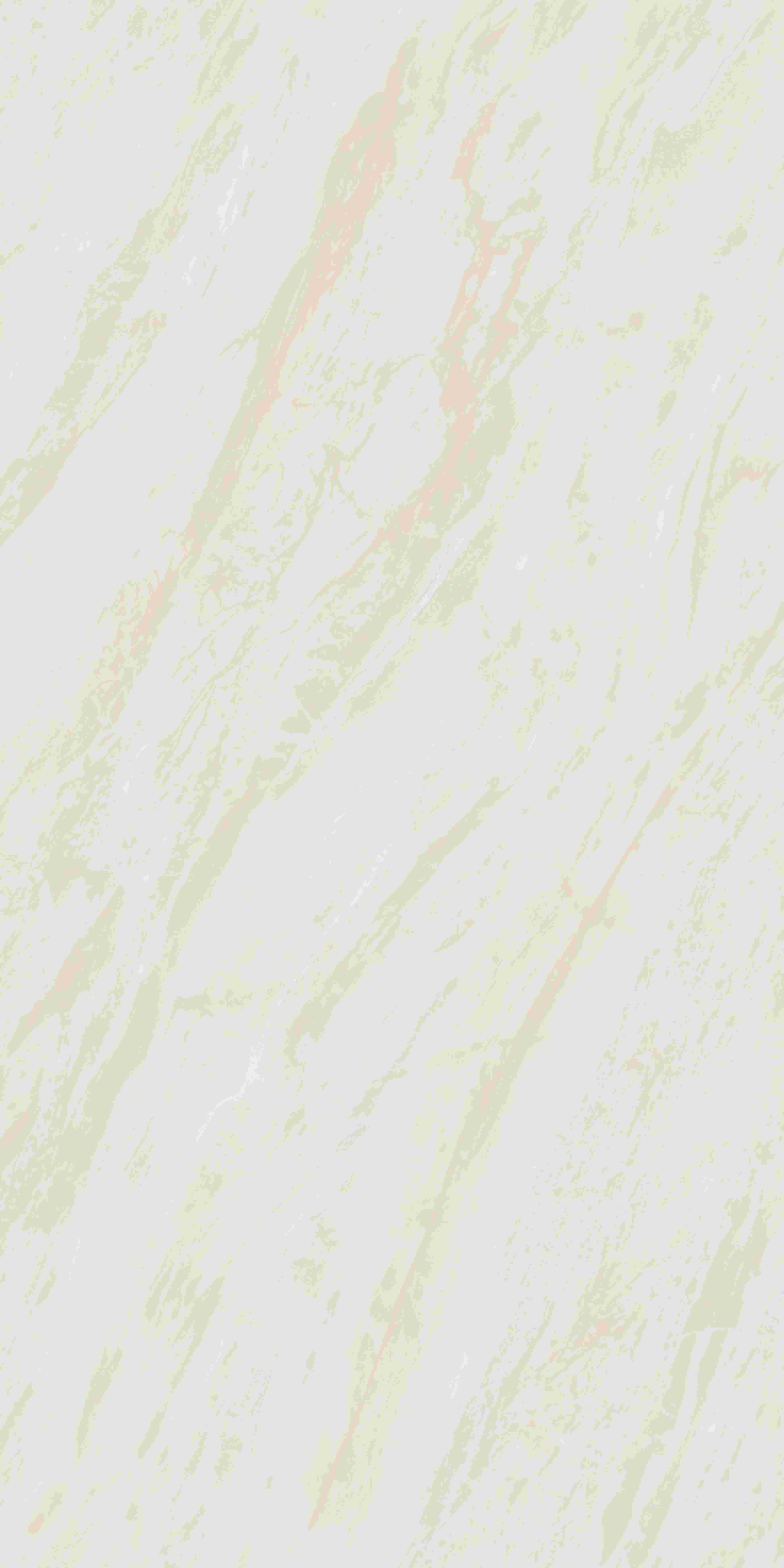 202504011858145814 202504011858145814