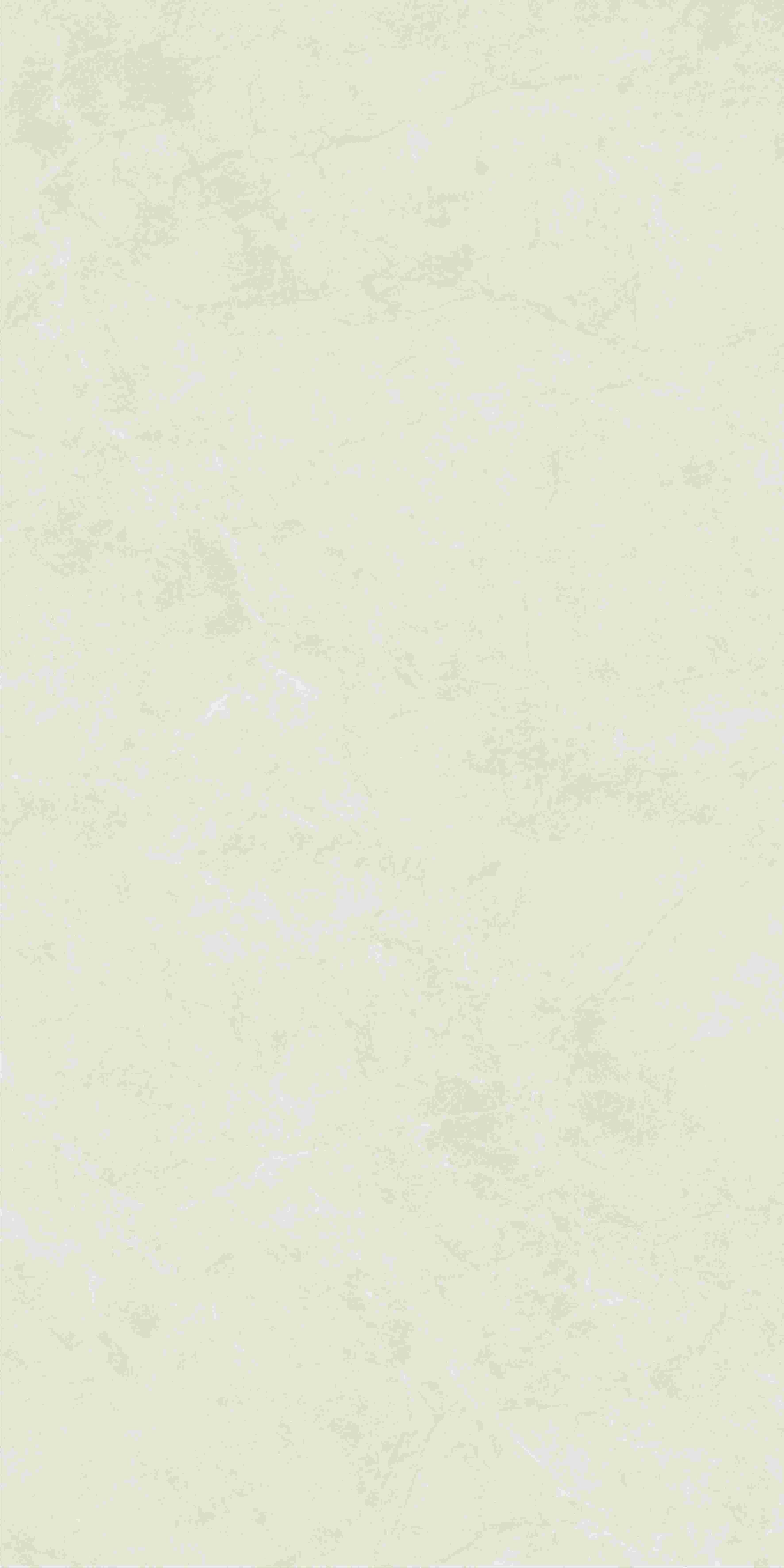 20250401190258258