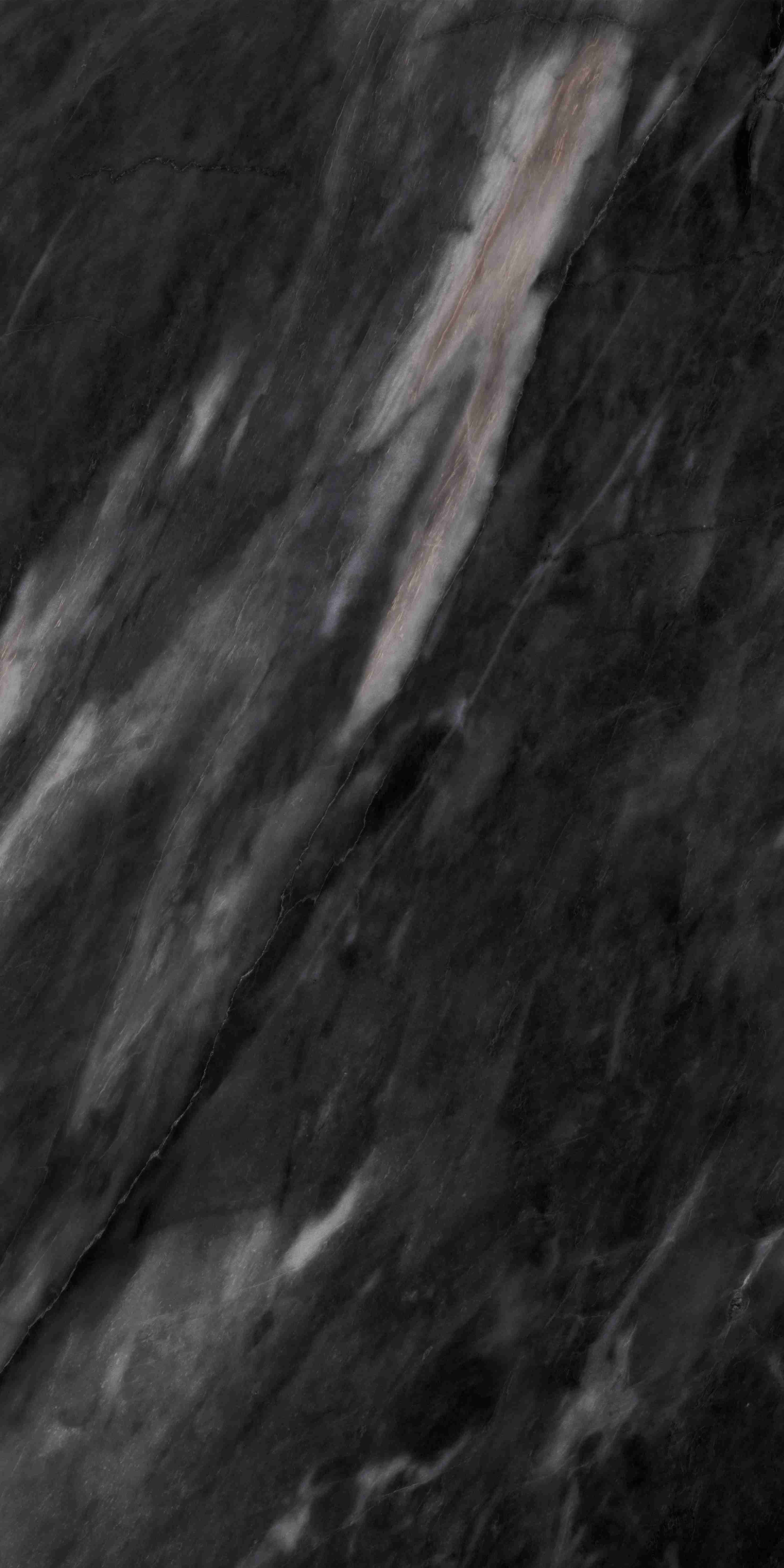 202504011956485648