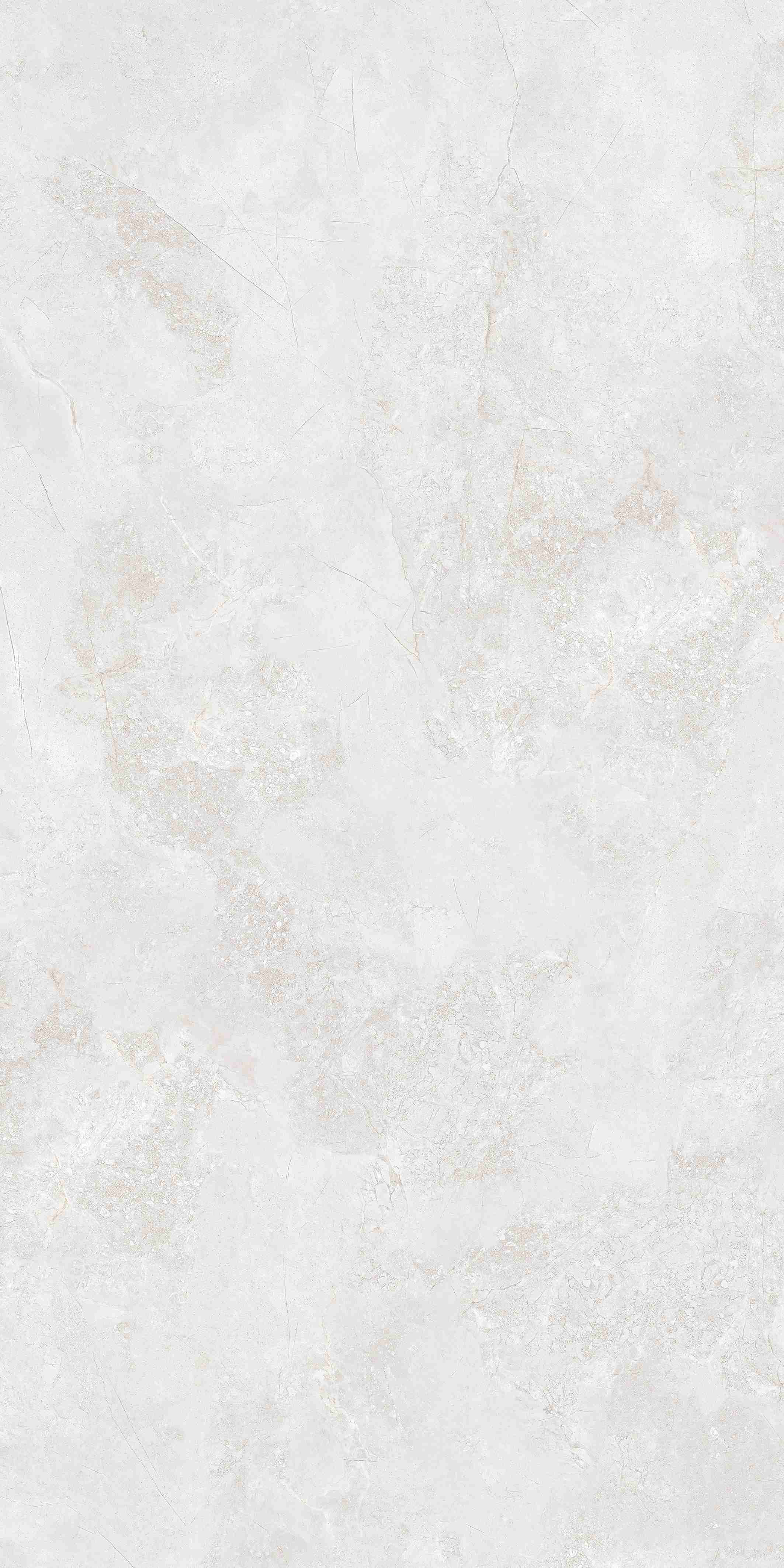 202504012354115411