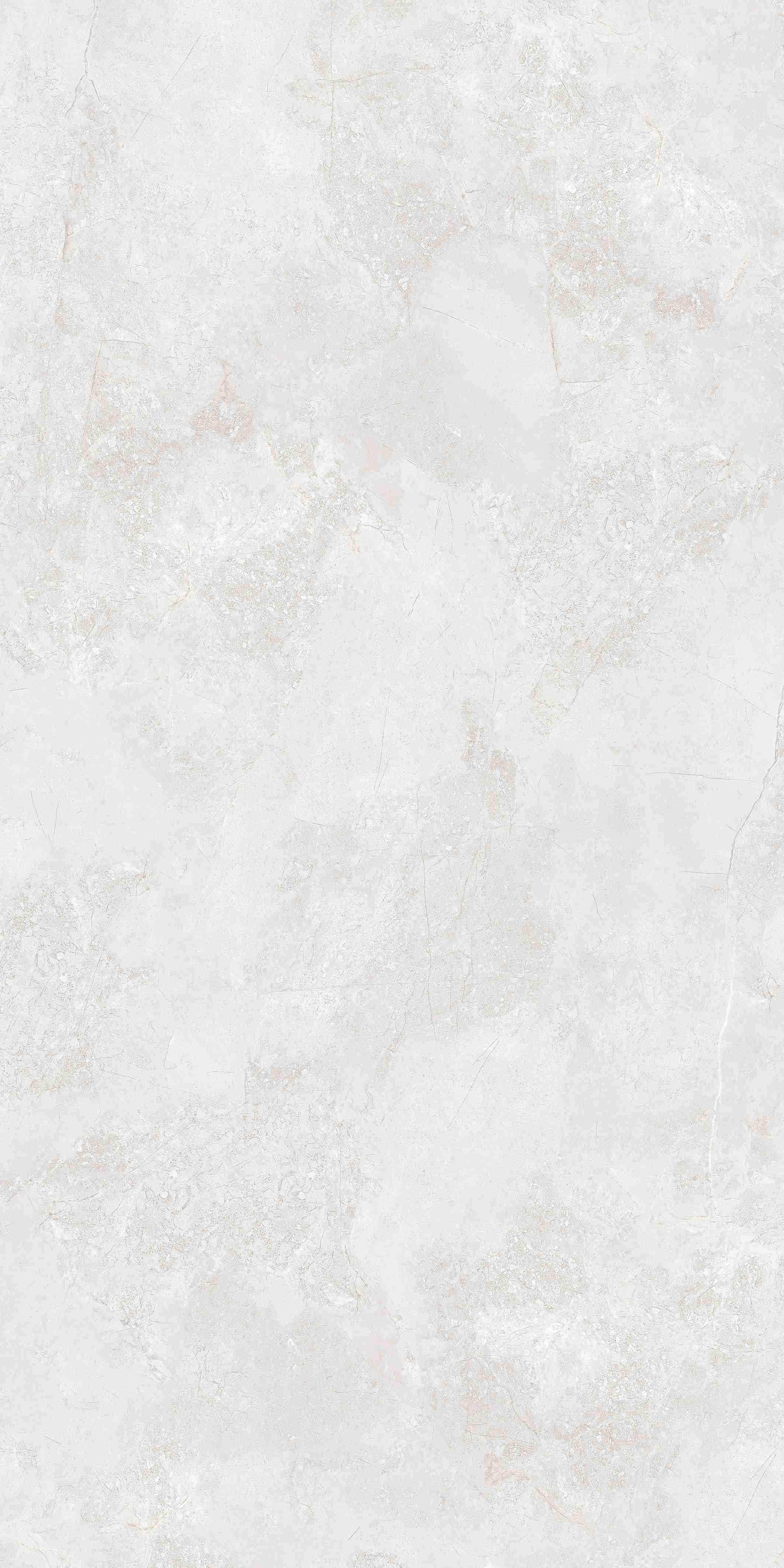 202504012354225422