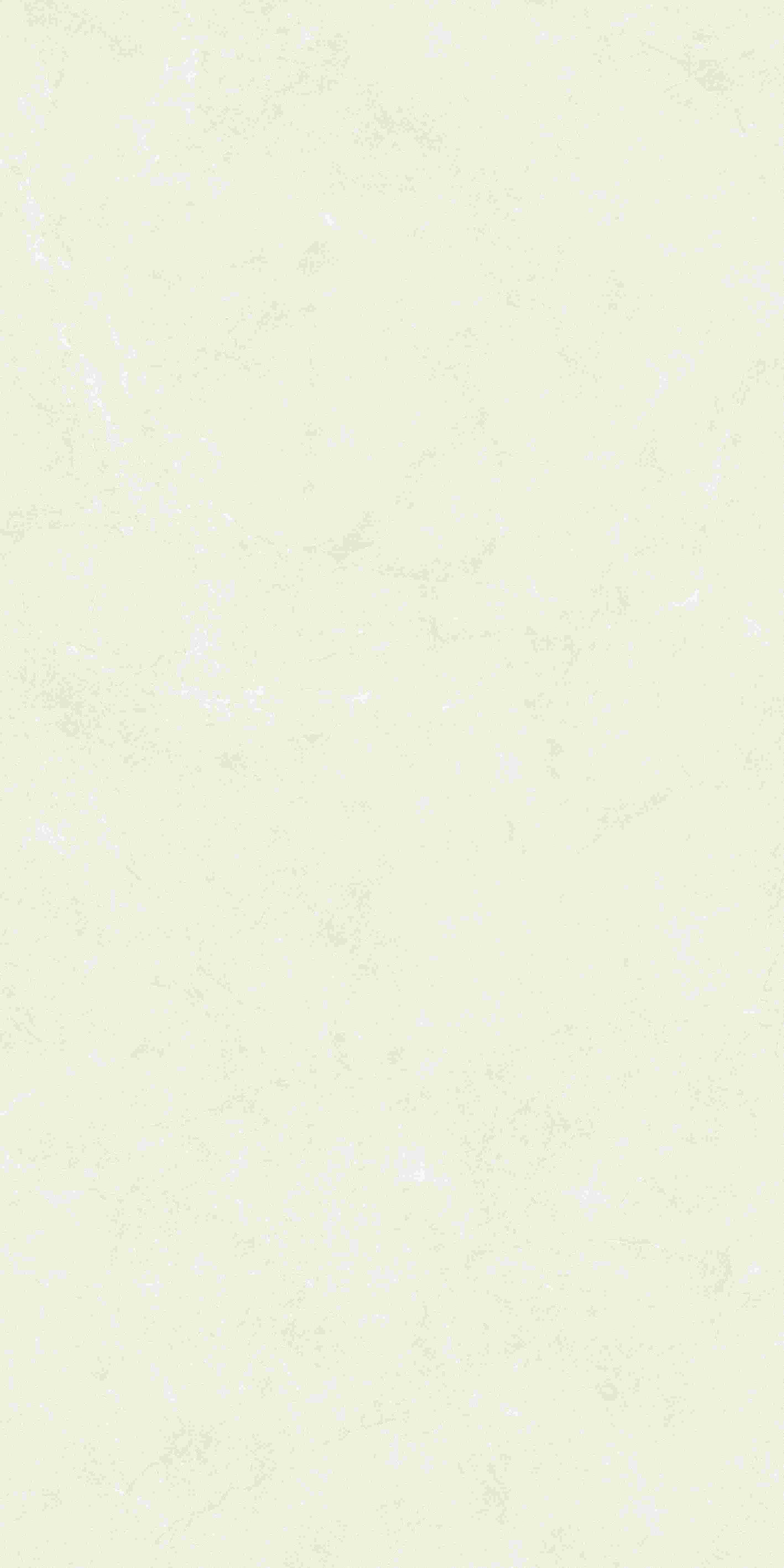 20250402000211211