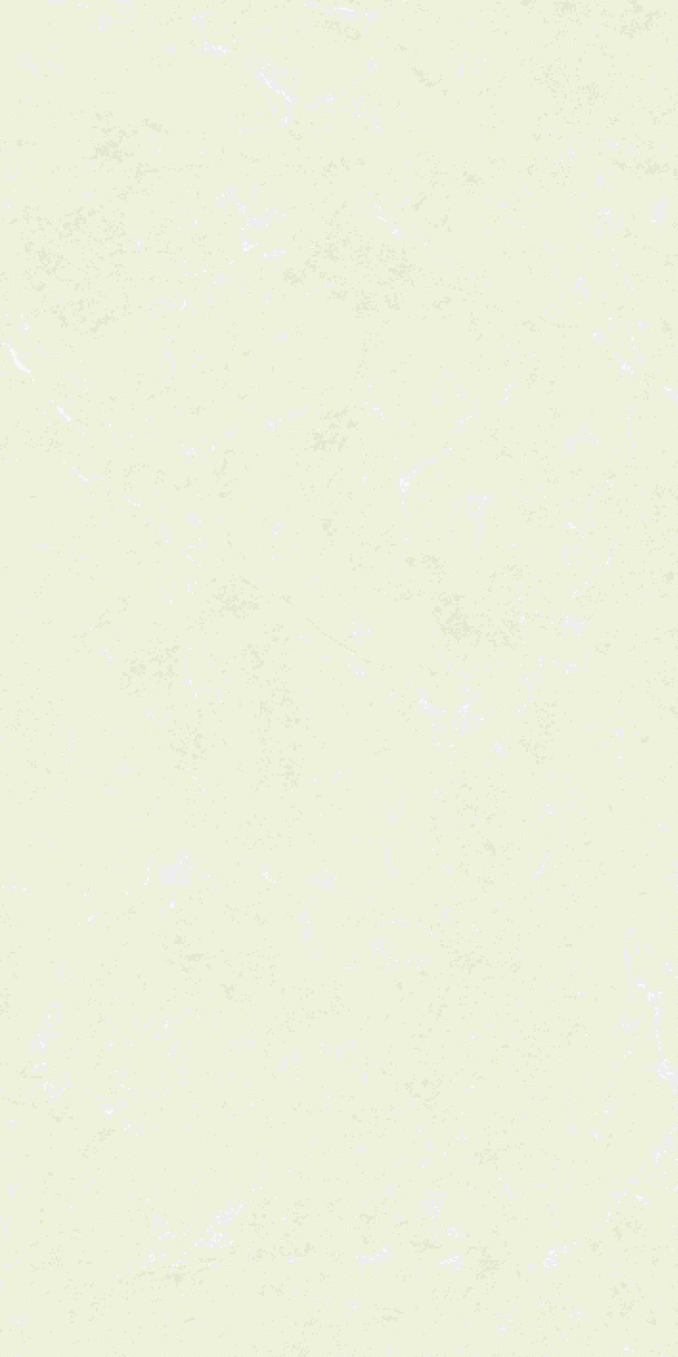20250402000214214