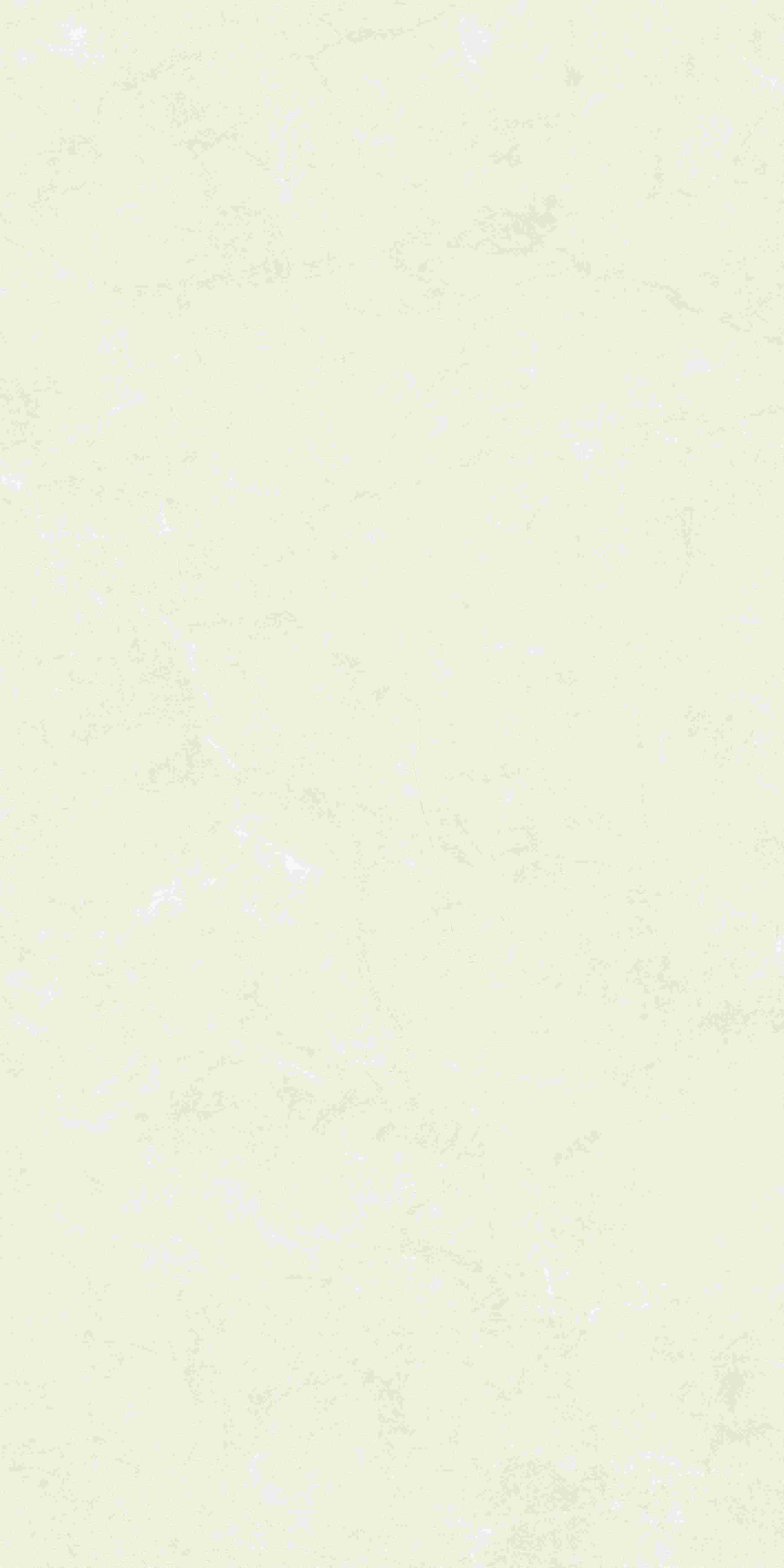 20250402000216216