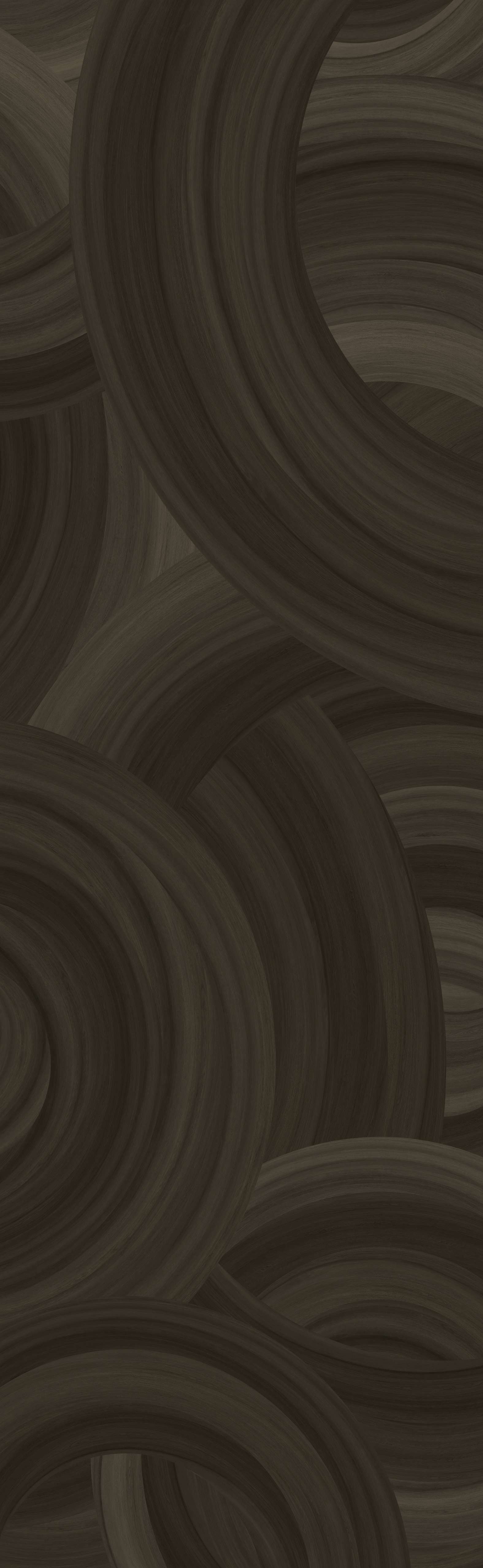 202504020120312031 202504020120312031
