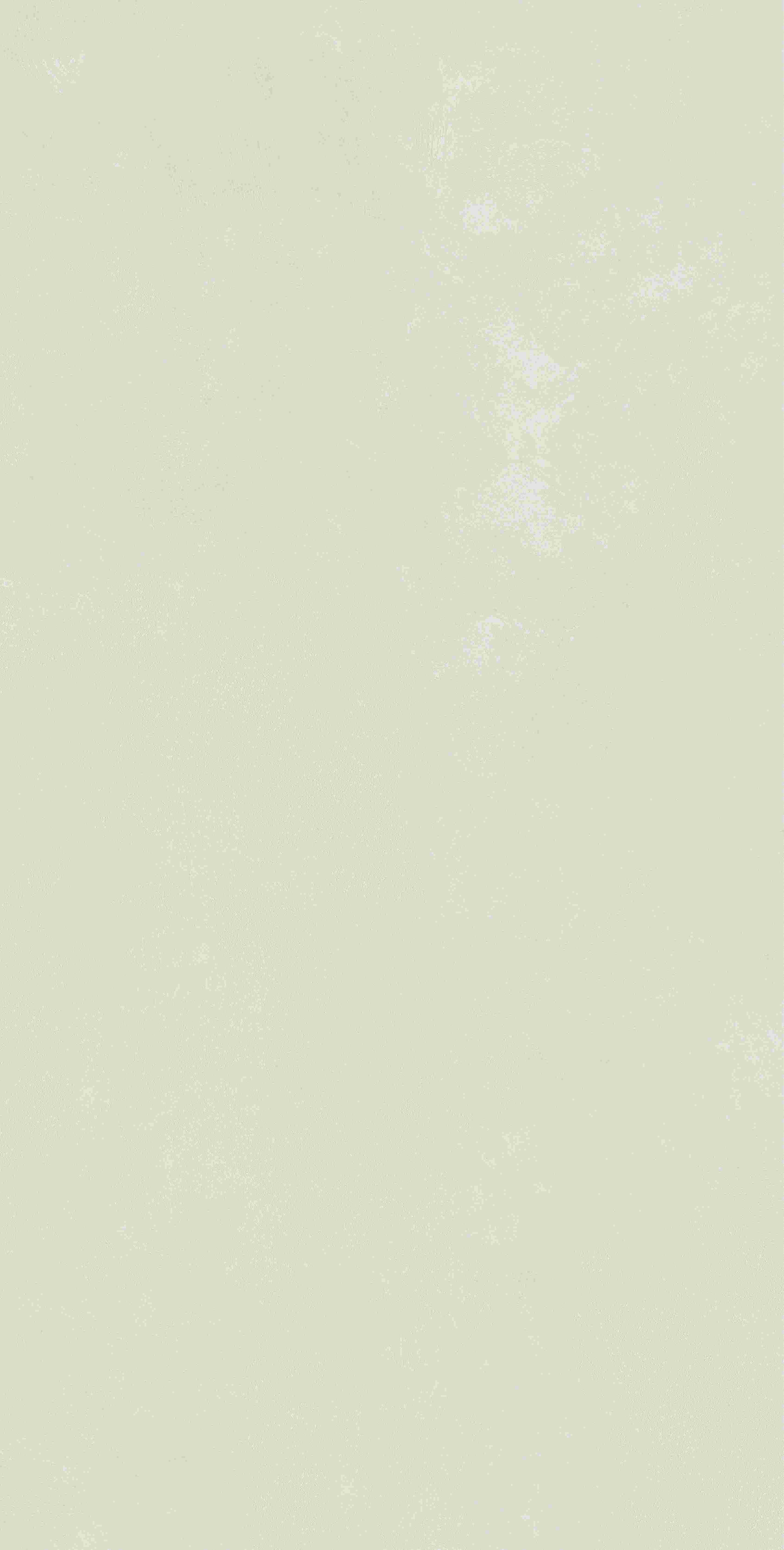 202504020849544954