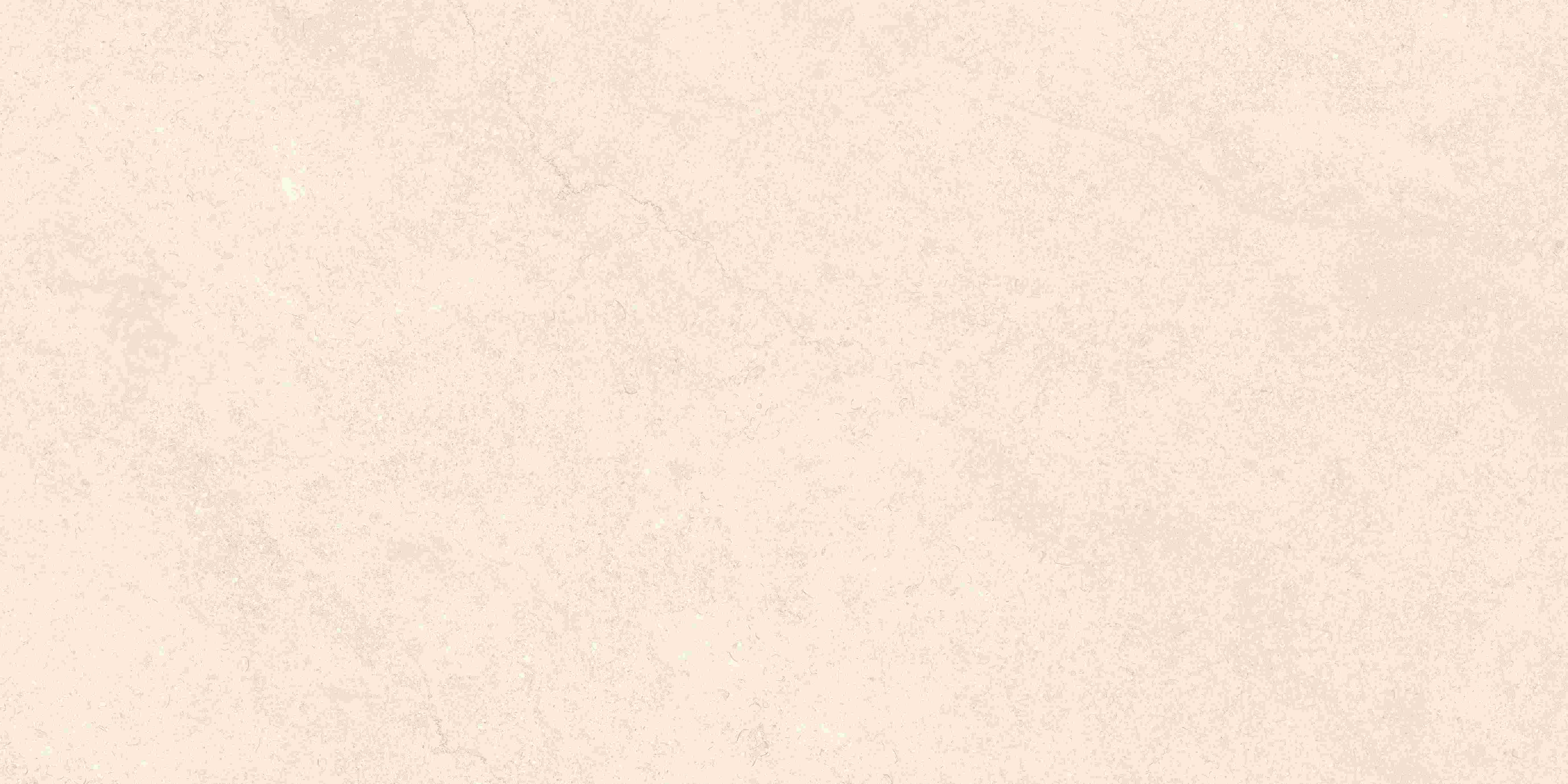 202504020918511851
