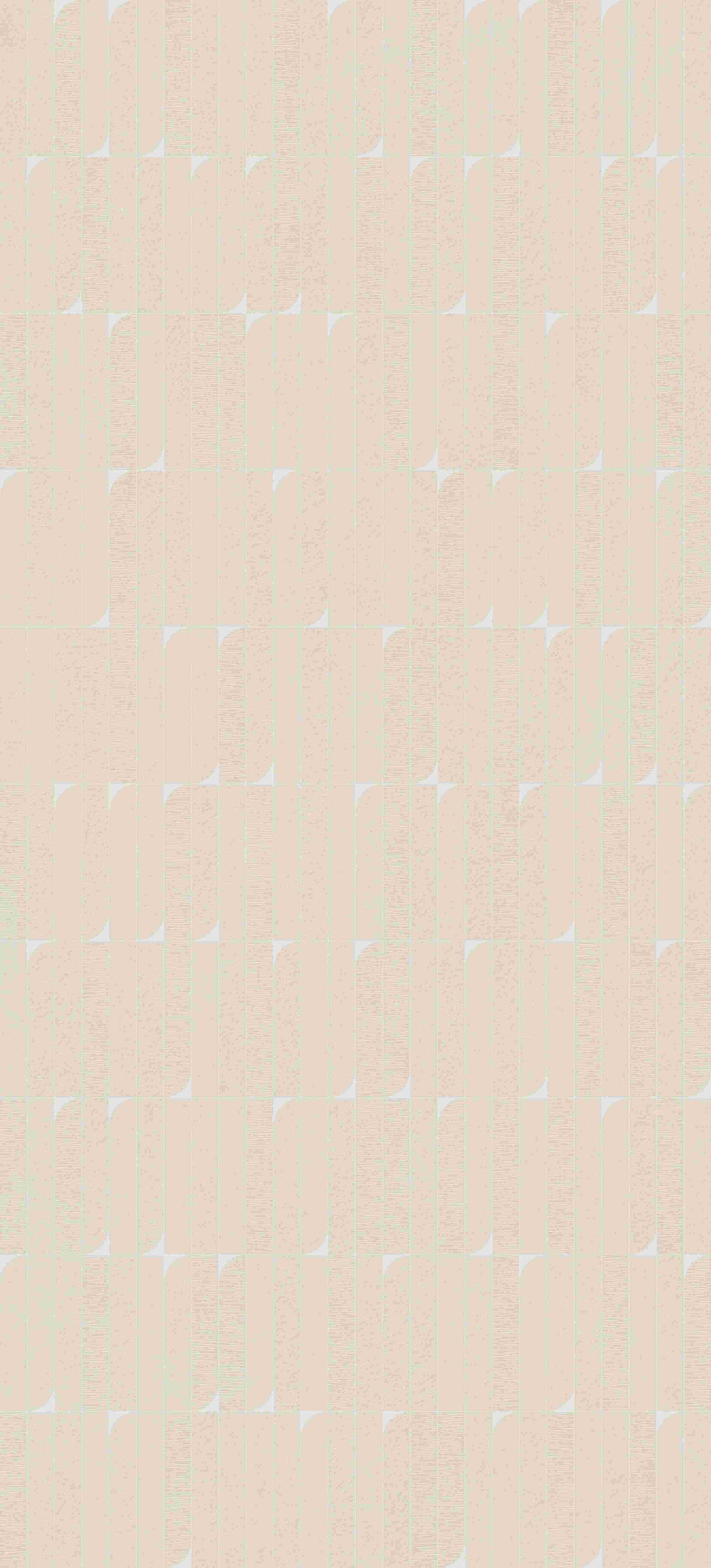202504021050445044