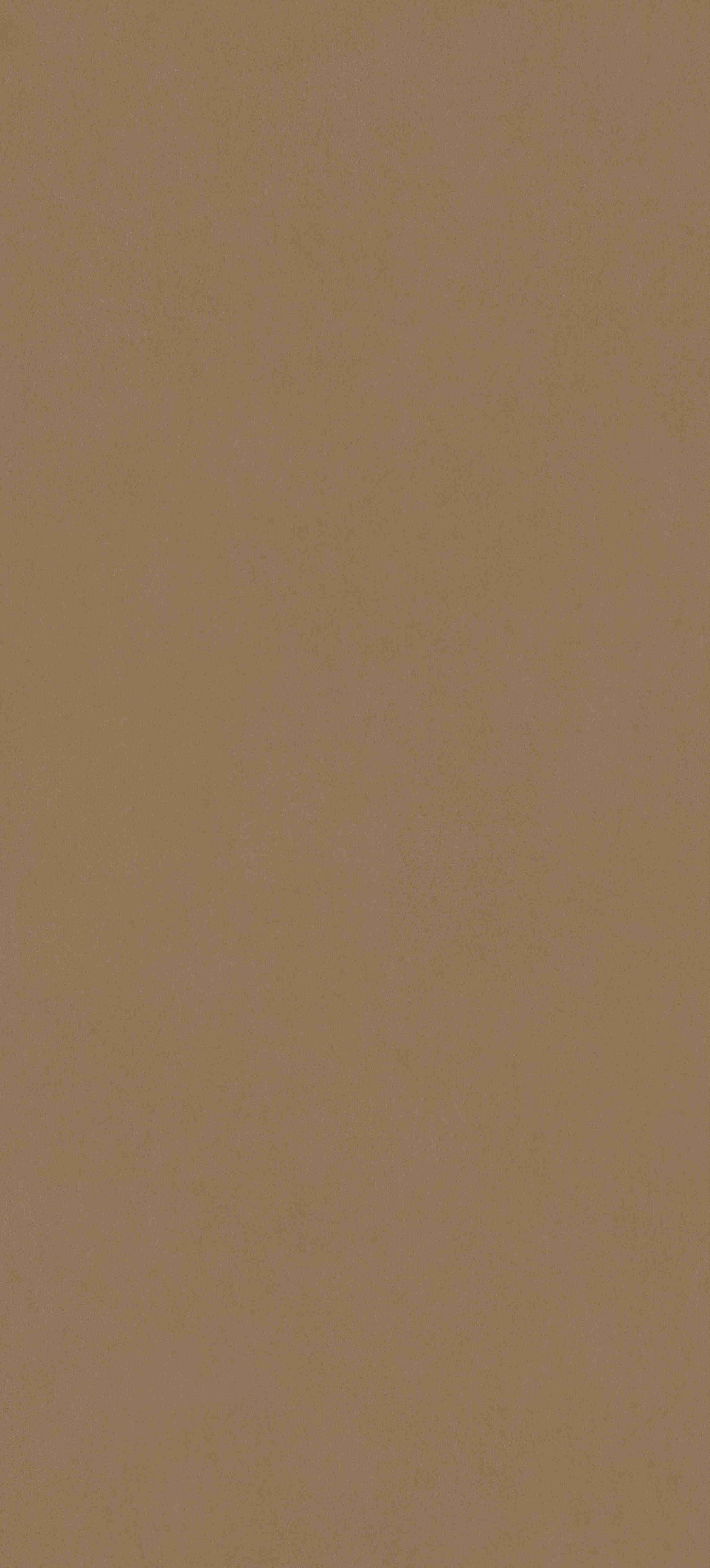 202504021429172917