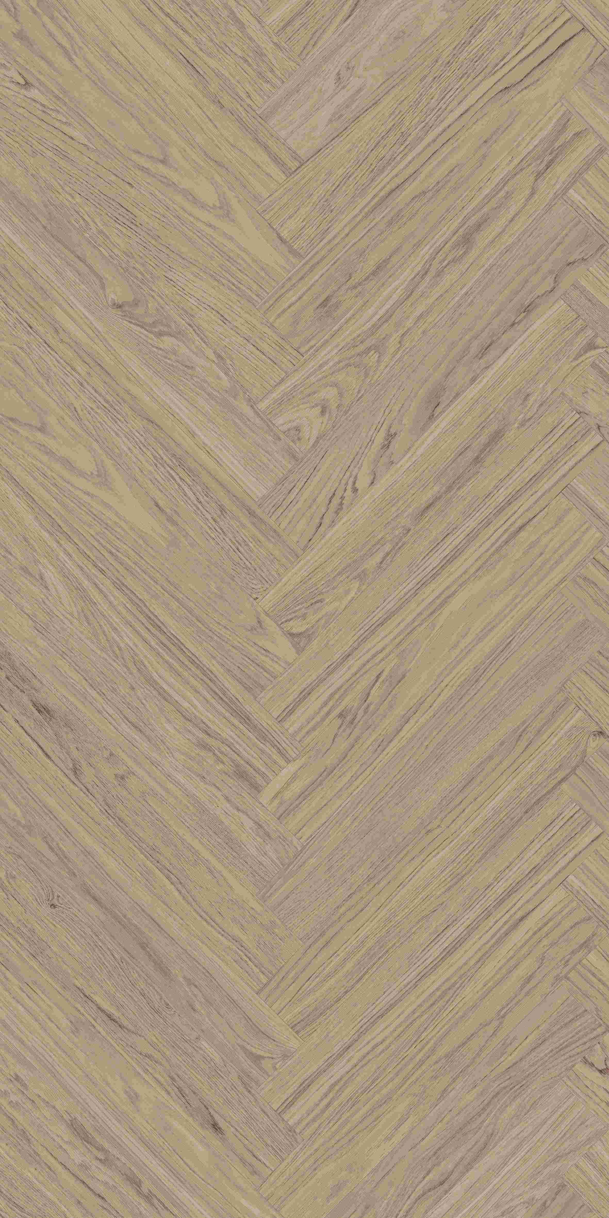 202504030942304230