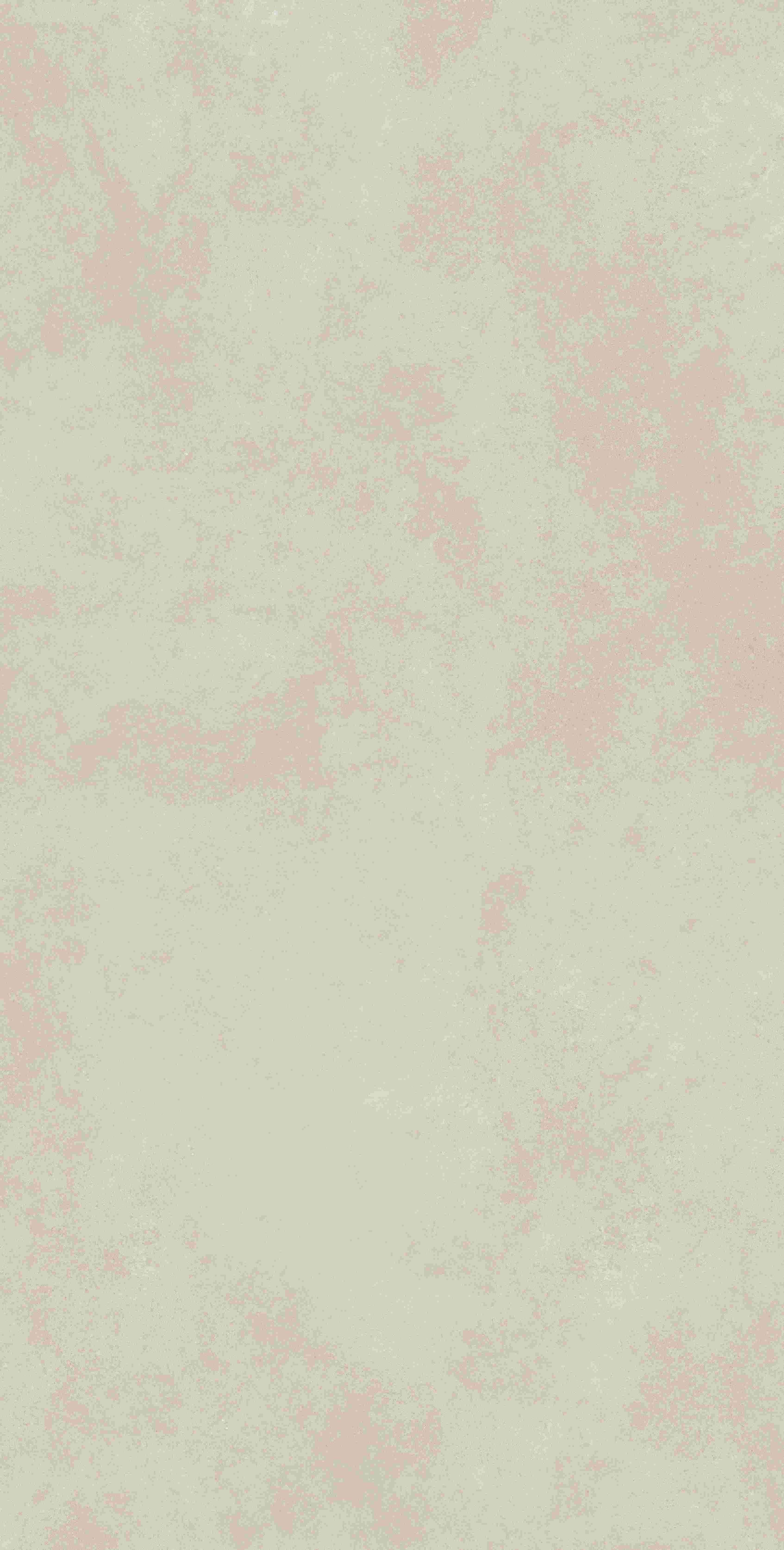 202504031114181418
