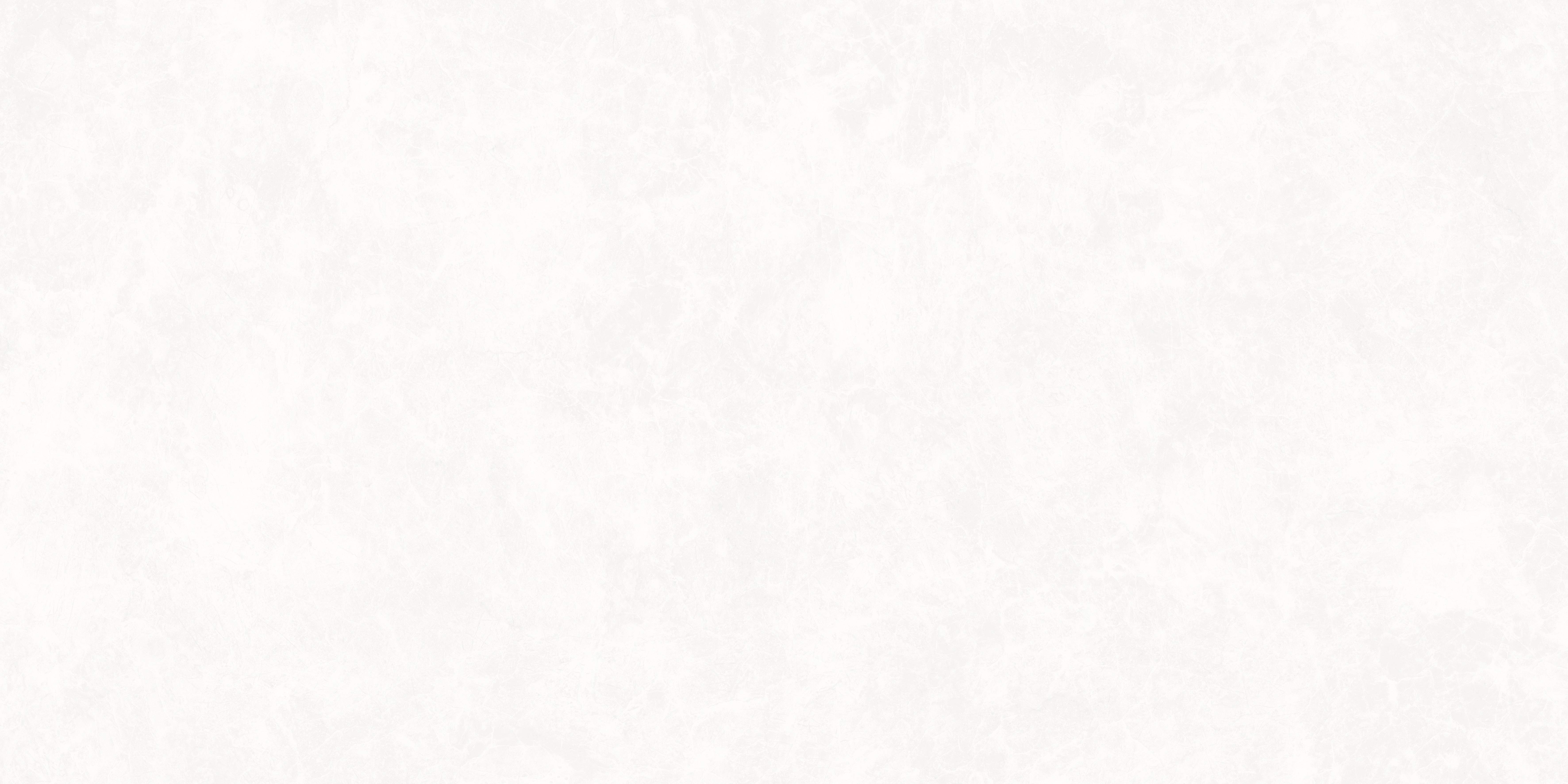 202605141017211721 202605141017211721