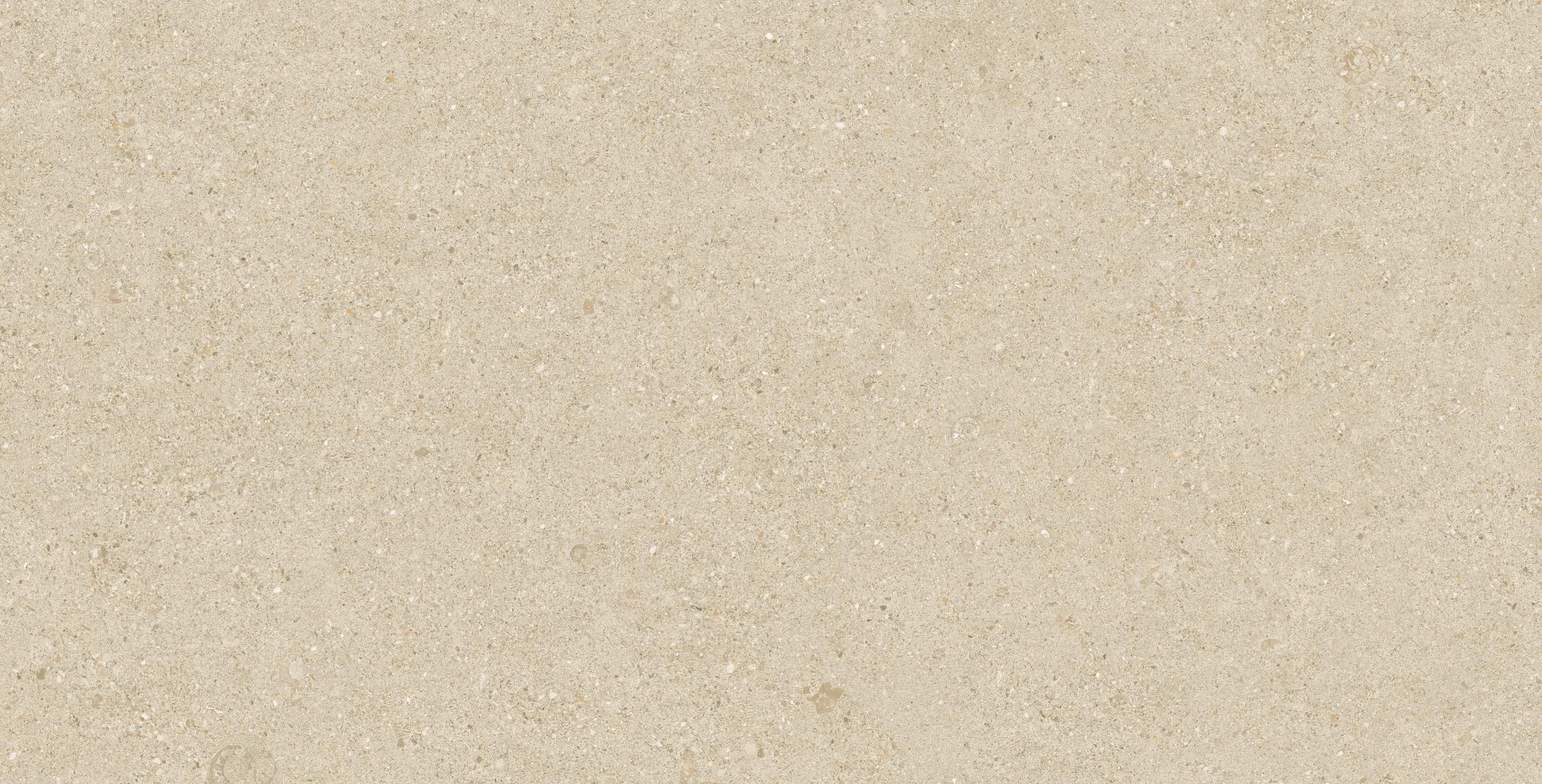 202605151742534253 202605151742534253