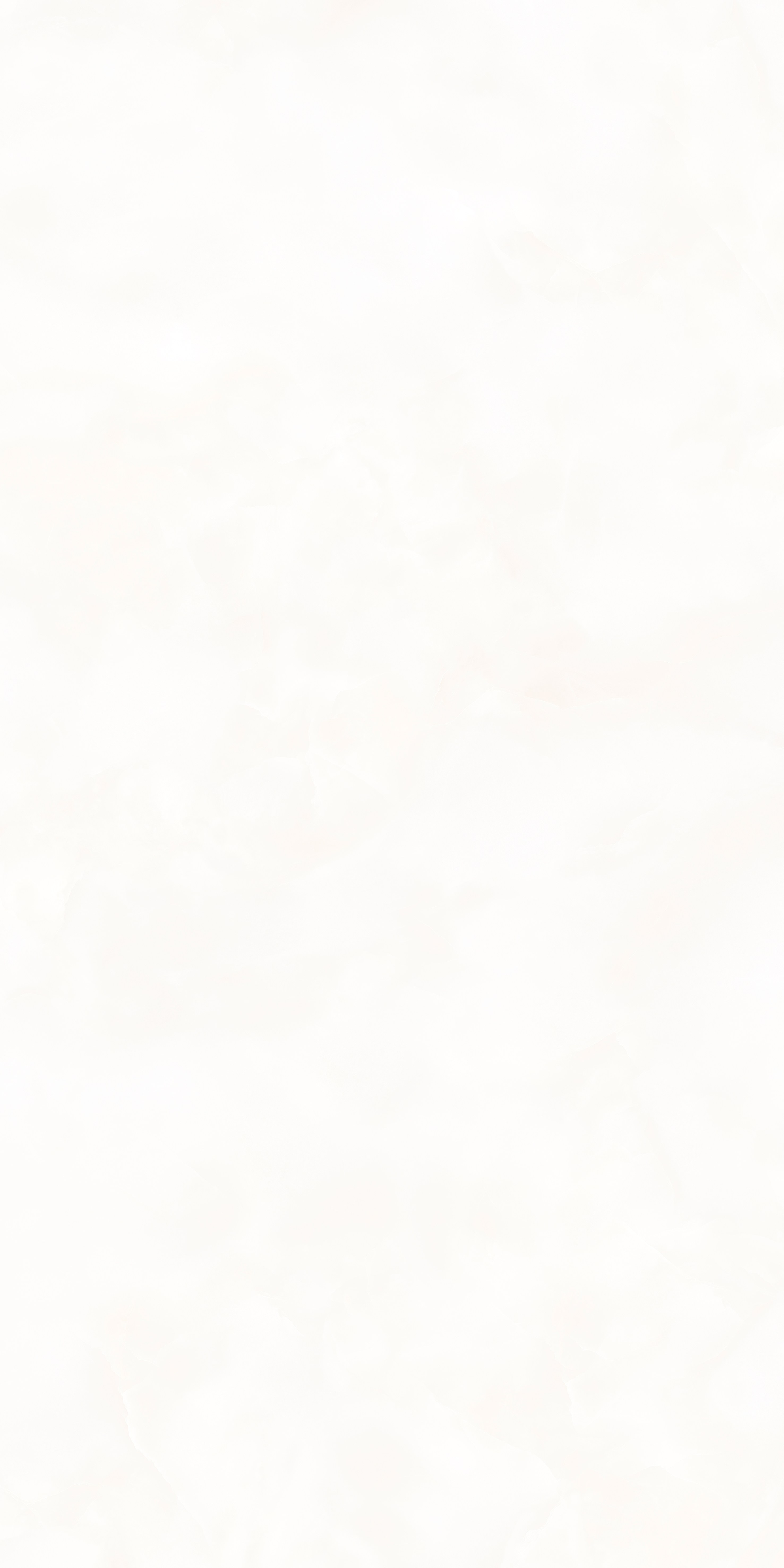 202605201044414441 202605201044414441