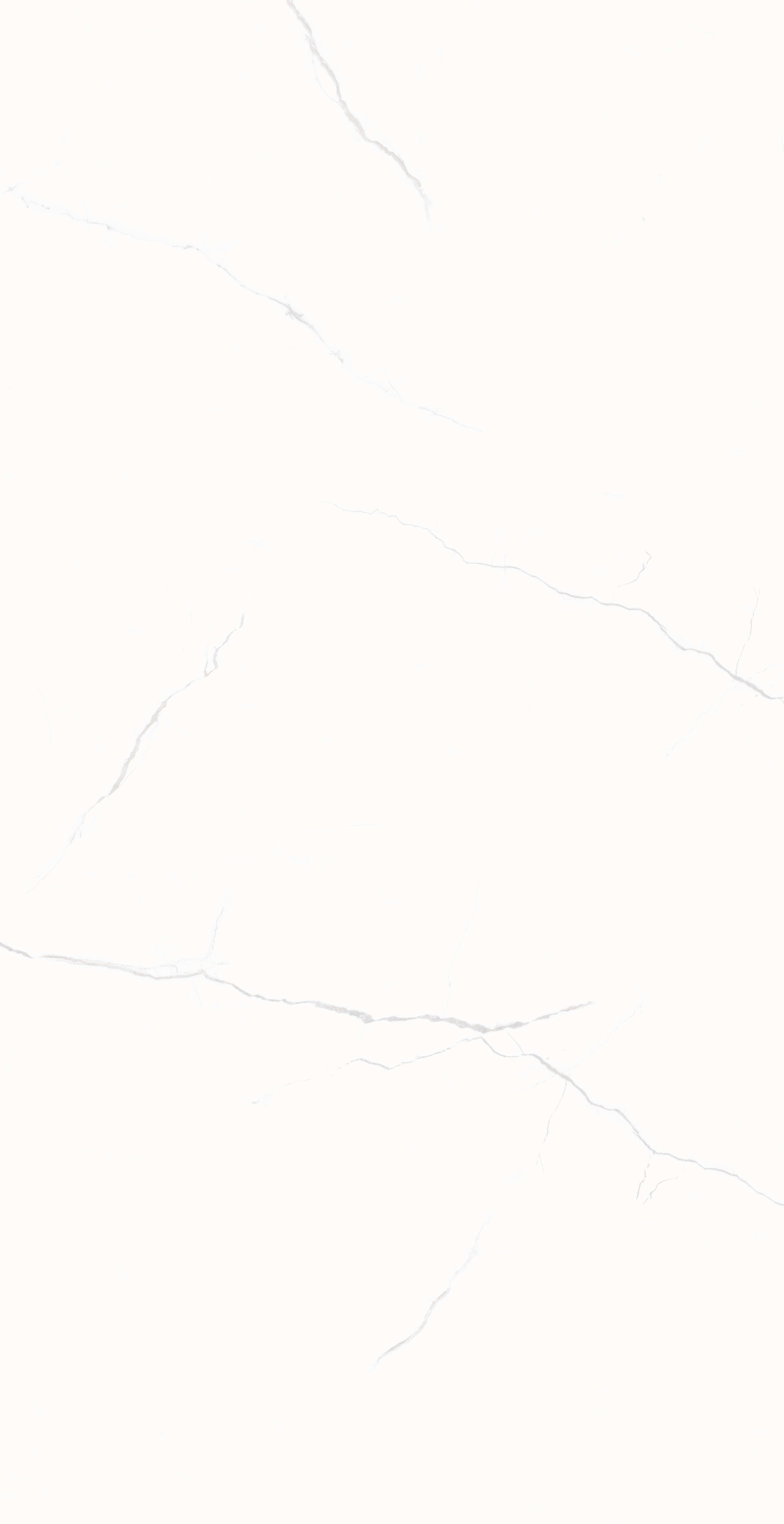 202605210842244224 202605210842244224