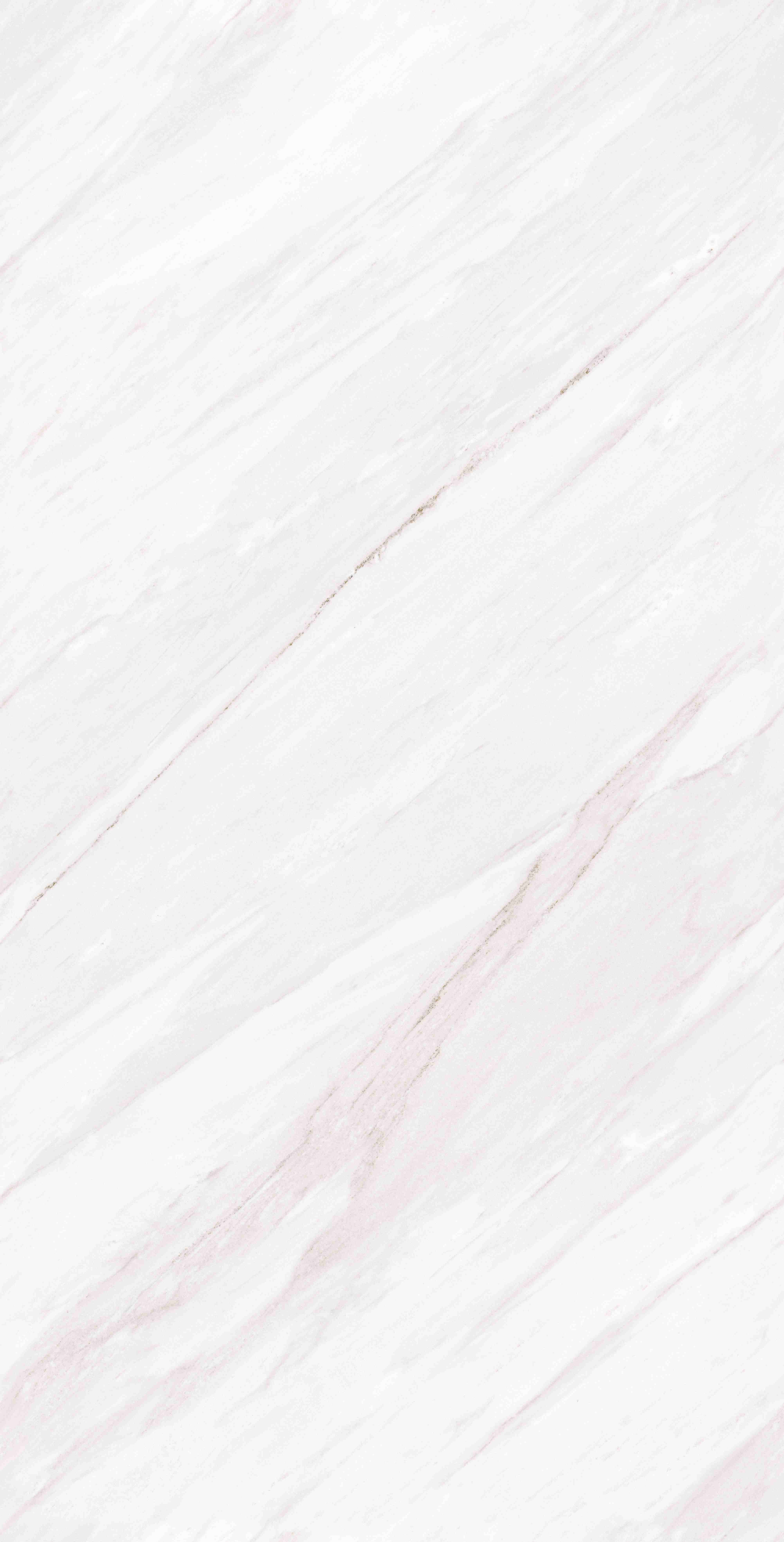 202605211451365136 202605211451365136